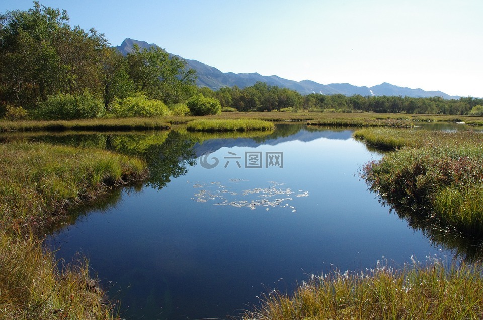 森林湖,山,森林