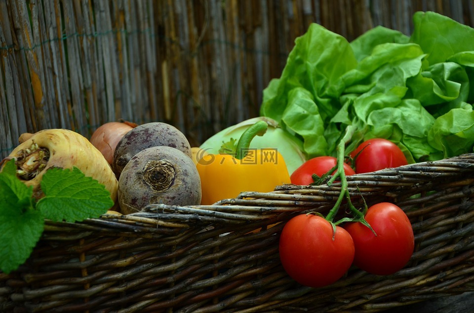 蔬菜,蕃茄,菜篮子