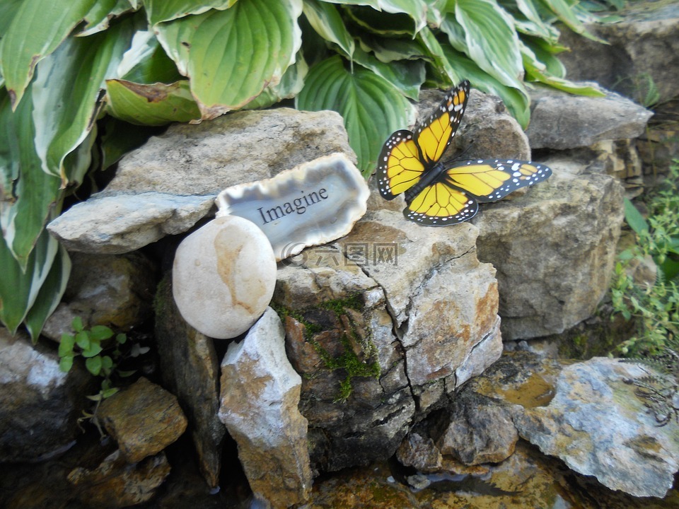 想象一下,石,蝴蝶