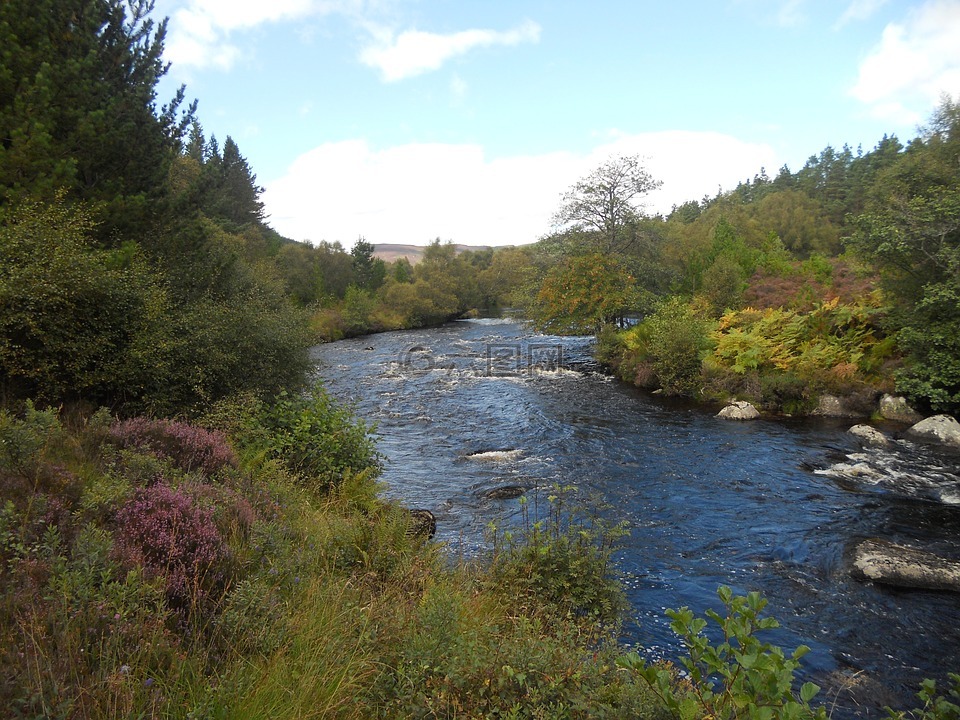 苏格兰的河流,河钓鱼,高地河