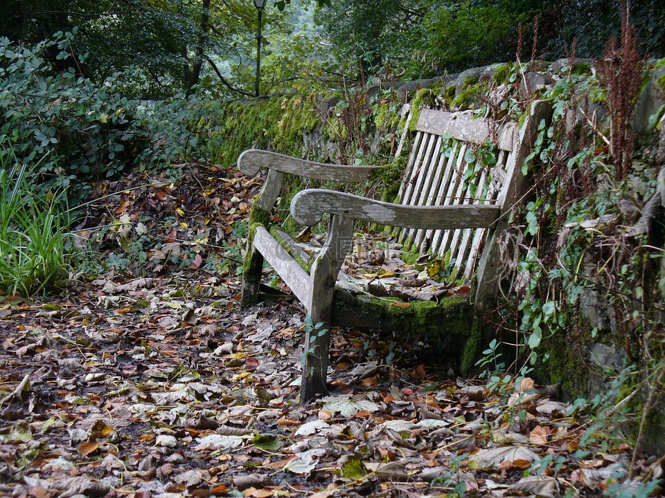 花园的长凳上,板凳,秋季