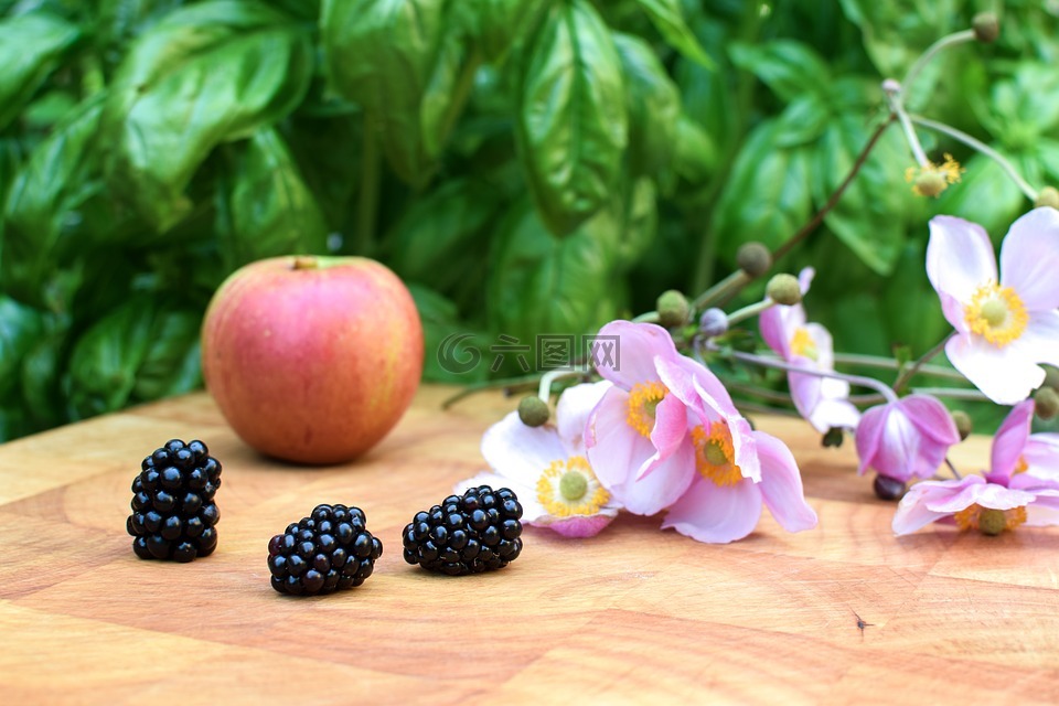 黑莓手机,秋季,黑色浆果