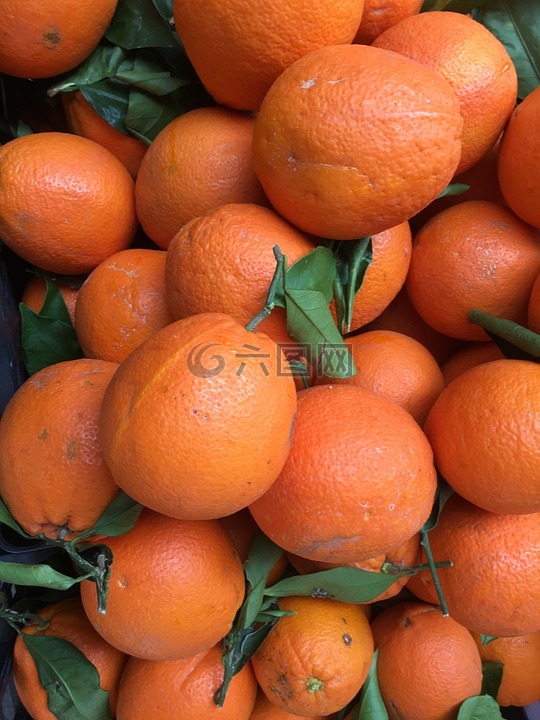 橘子,水果,潮湿