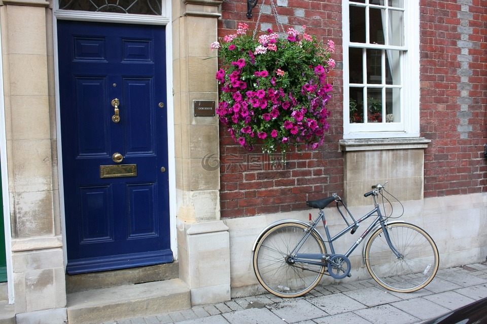 自行车,门,瓶花