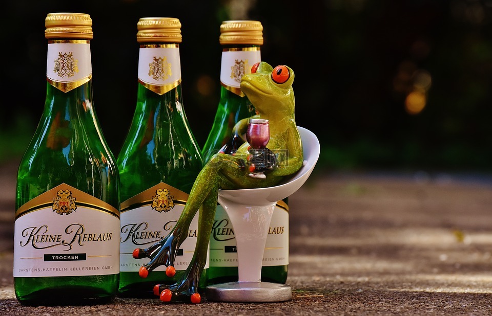 青蛙,酒,喝