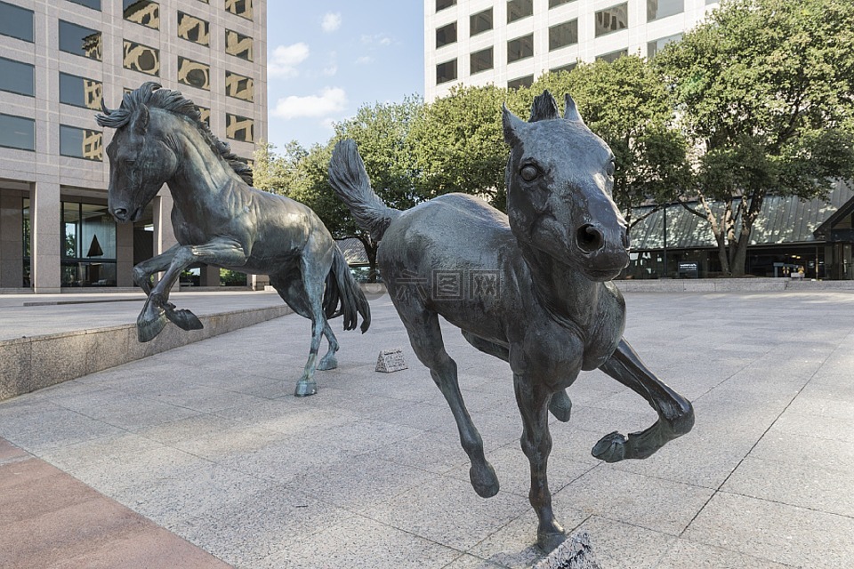 mustangs,雕塑,喷泉