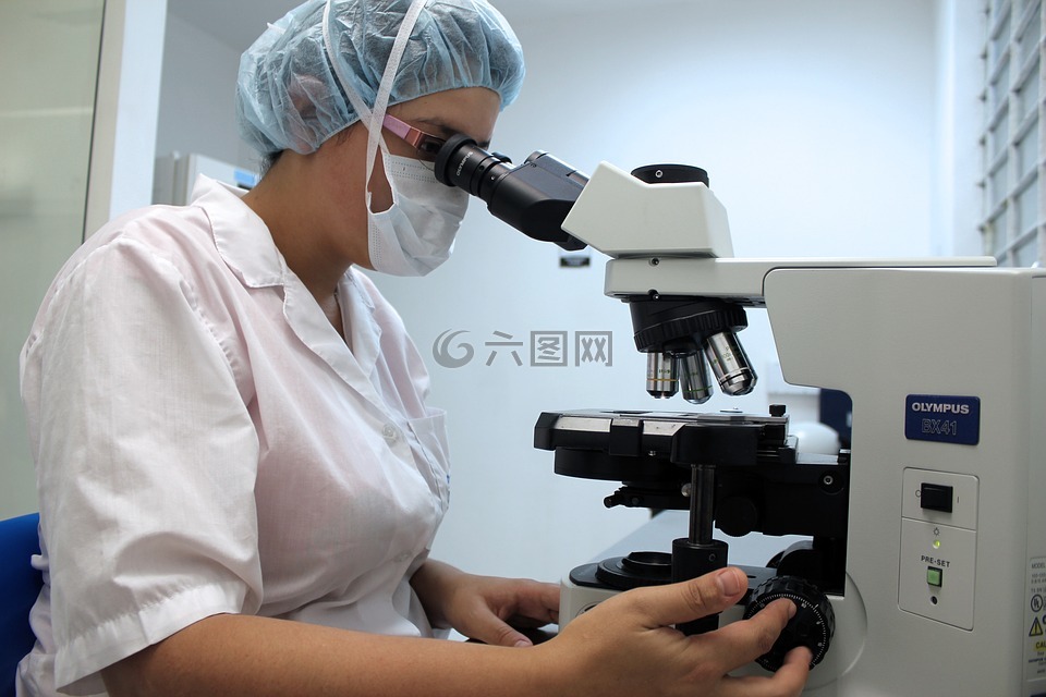 显微镜,诊断,实验室