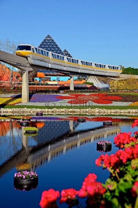 电车,迪斯尼,epcot