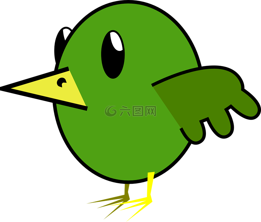 动物,鸟,绿色