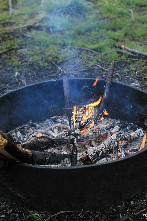 烧烤,火,木炭