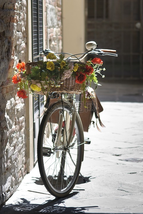 自行车,浪漫,夏天