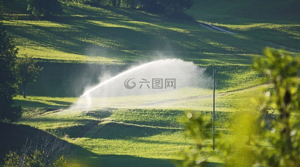灌溉,草地,斜坡