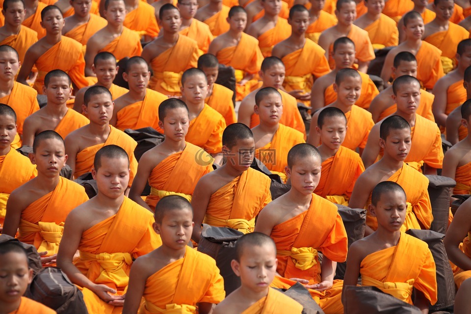 泰国,佛教徒,僧侣