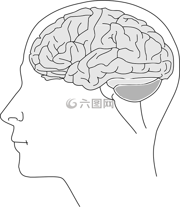 生理图片 生理素材 生理模板免费下载 六图网