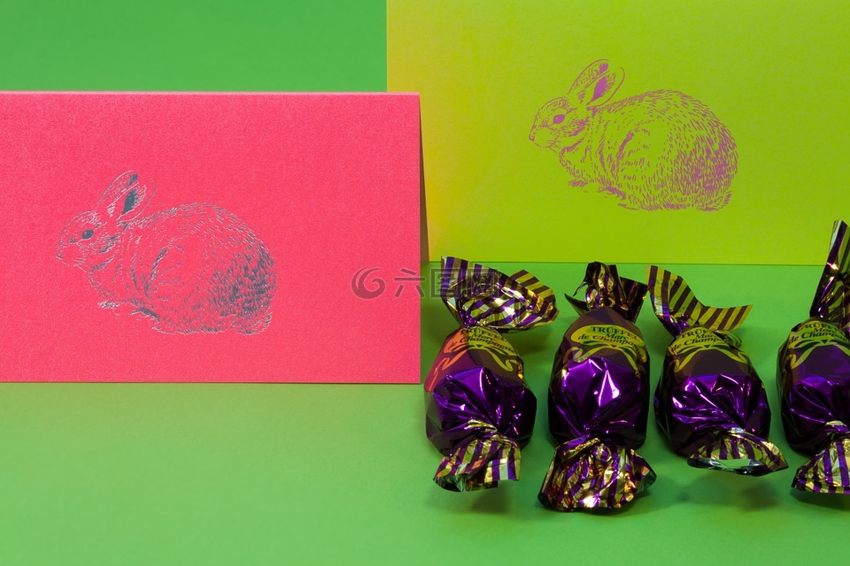 复活节兔子,巧克力果仁糖,春天