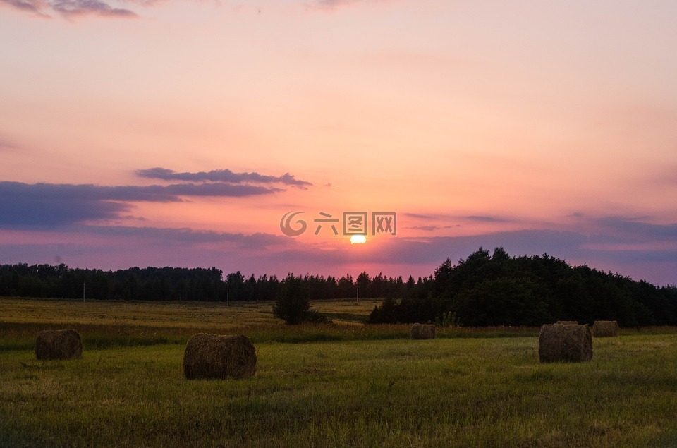 八月,栈,夏季