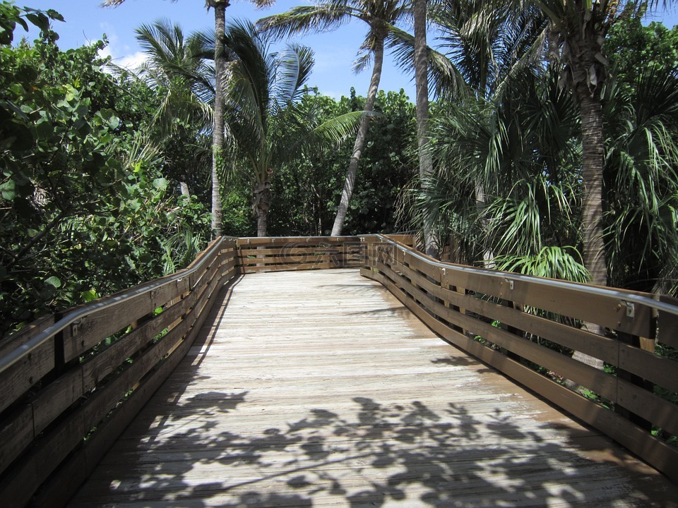 西棕榈滩,桥,佛罗里达