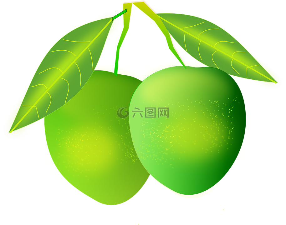 芒果,绿色,水果