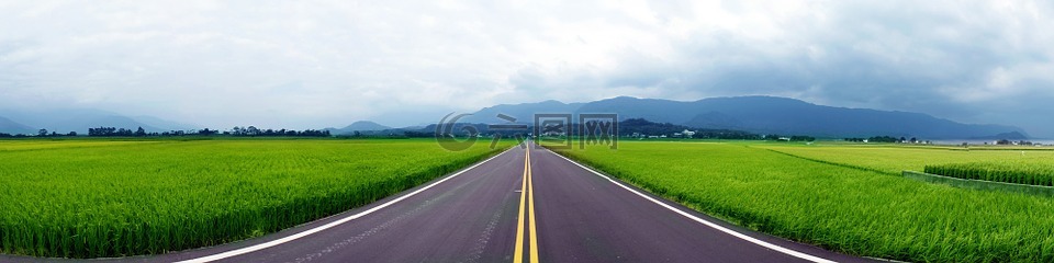 绿色,路,台湾