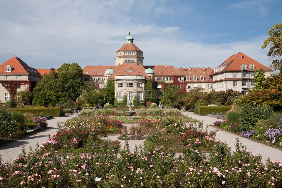 植物园,慕尼黑,花园