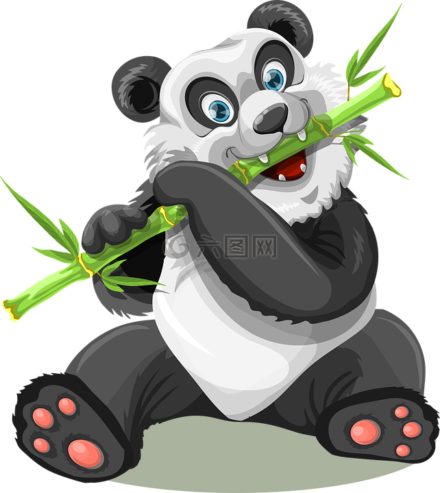 熊猫,动物,竹