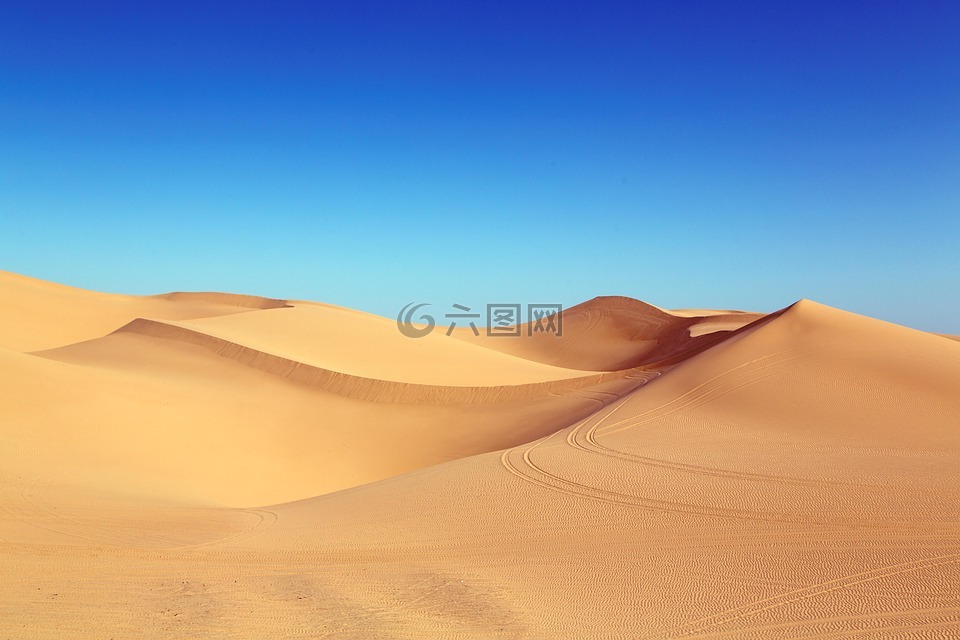 沙漠,沙丘,algodones 沙丘