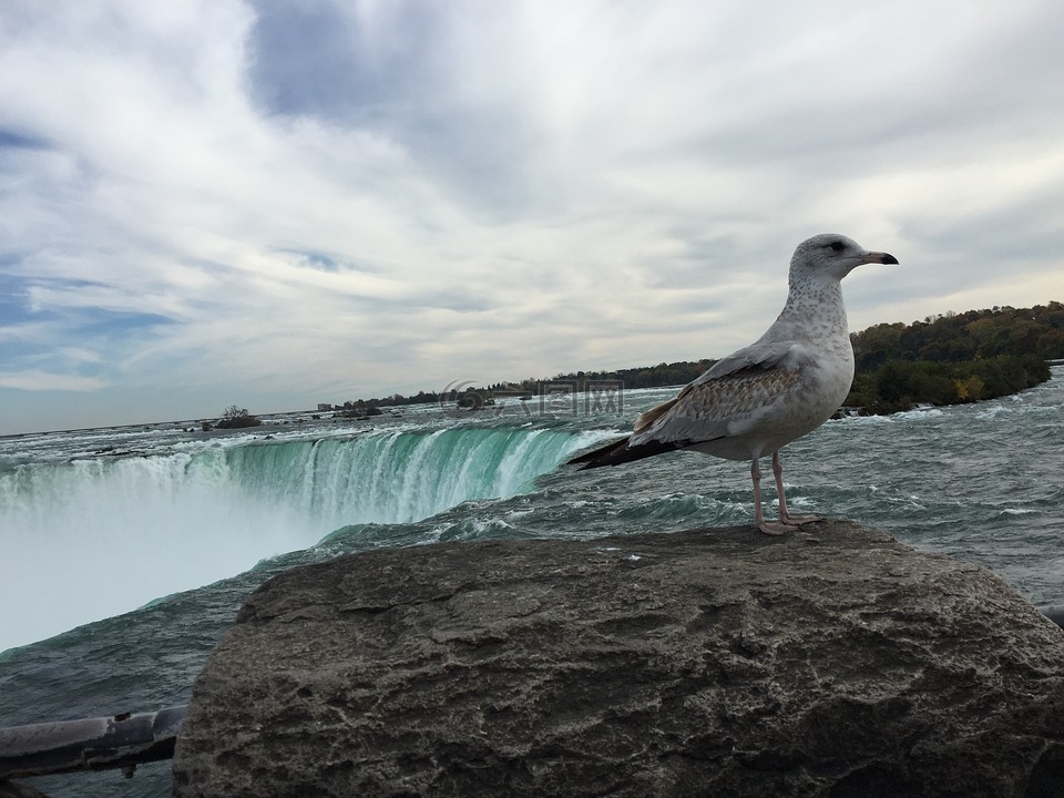 niagarafalls,安大略省,加拿大