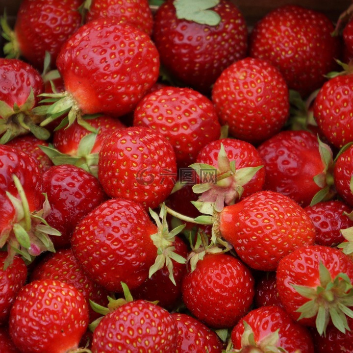 草莓,浆果,红色浆果
