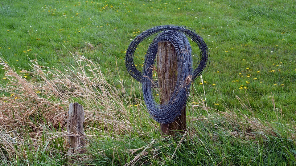 草场围栏,铁丝网,篱笆