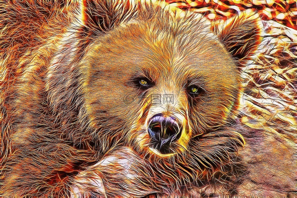 熊,熊形,熊艺术