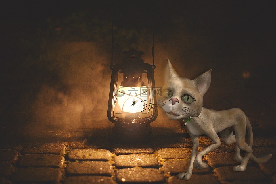 猫,更换灯泡,照明