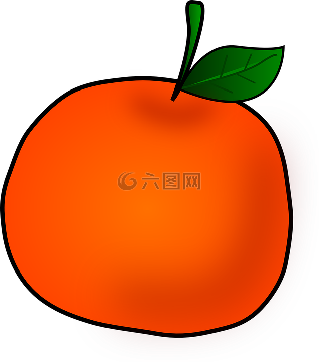 橙色,水果,柑橘果实