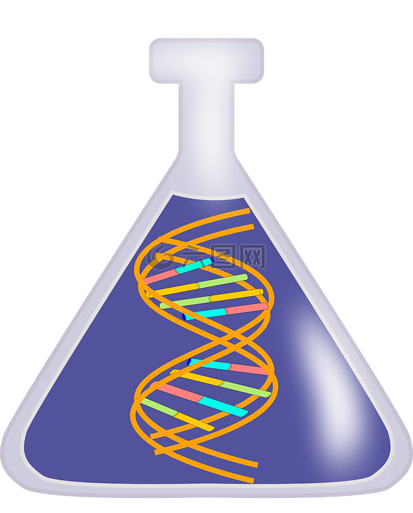 dna,rna,遗传学