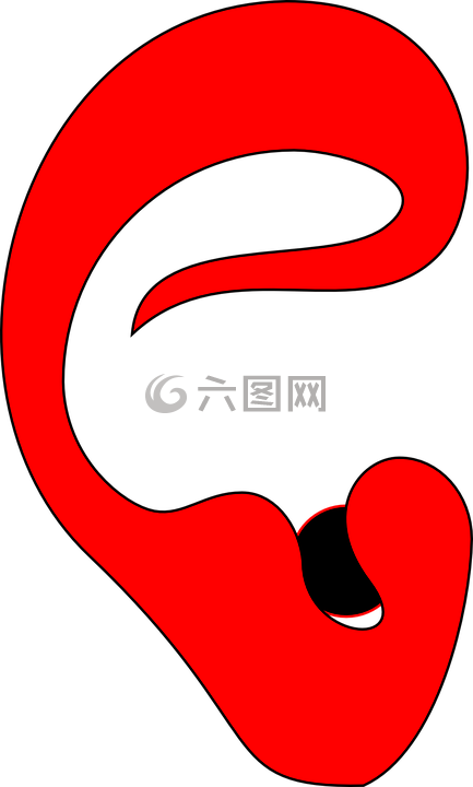 耳朵海螺,耳杯,耳廓