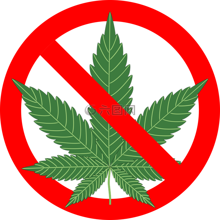大麻,叶,植物
