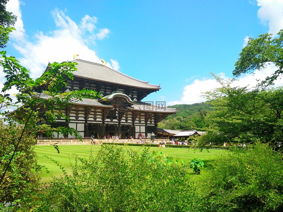 日本,风景,金阁寺