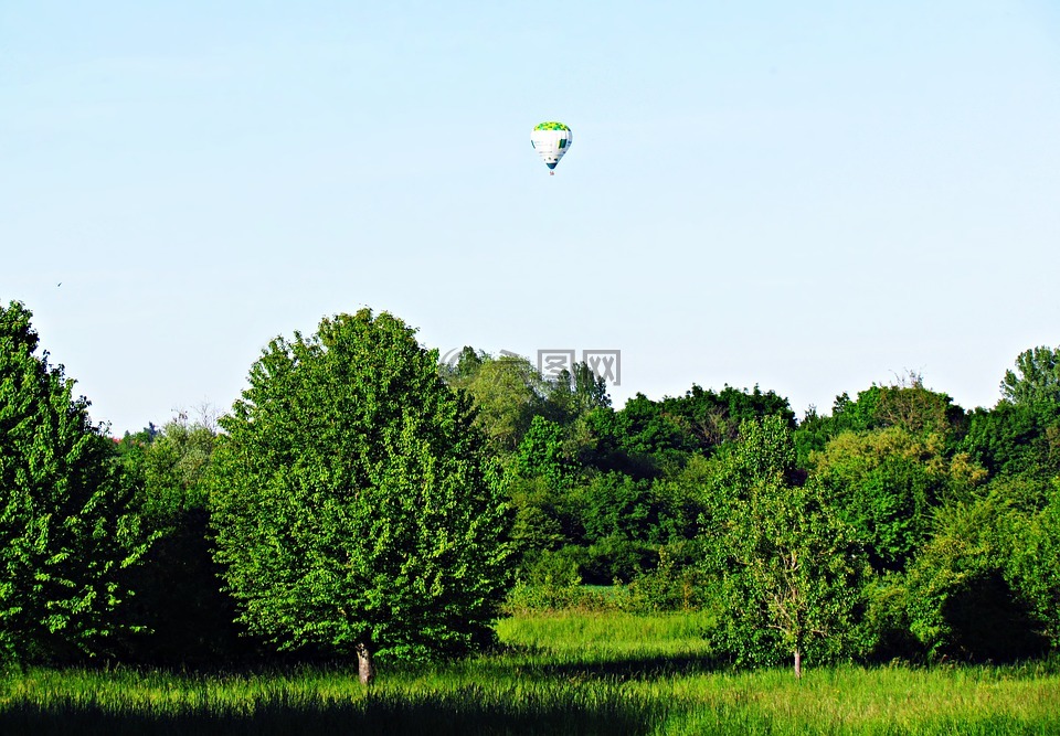 绿色,景观,气球