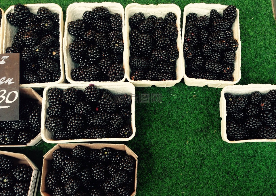 浆果,黑莓,黑色