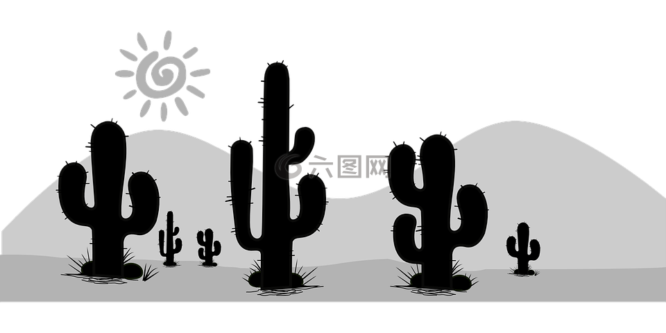 仙人掌 沙漠 植物区系高清图库素材免费下载 图片编号 六图网