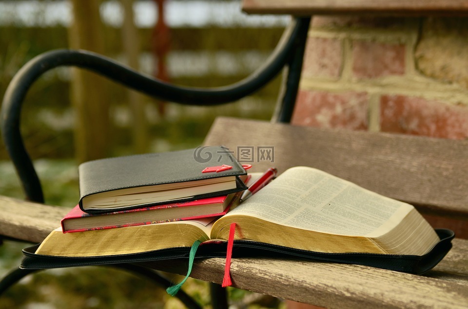 图书,学习,圣经 》