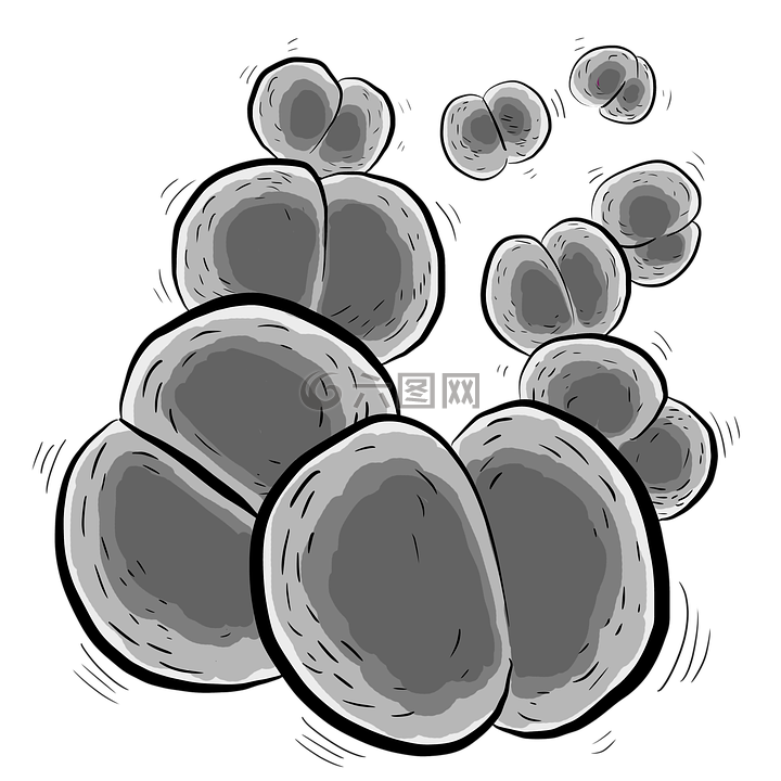 细菌 脑膜炎奈瑟氏菌 脑膜炎双球菌高清图库素材免费下载 图片编号 六图网