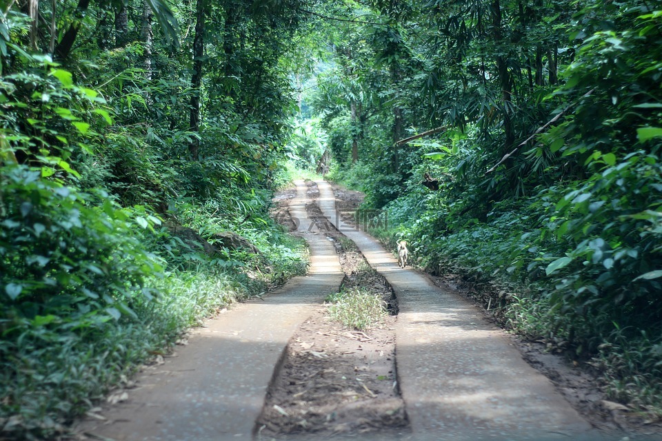 普密蓬坝,储存器,水