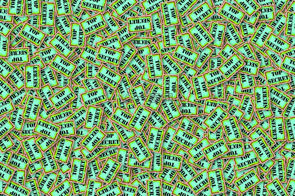 最高机密,秘密,间谍