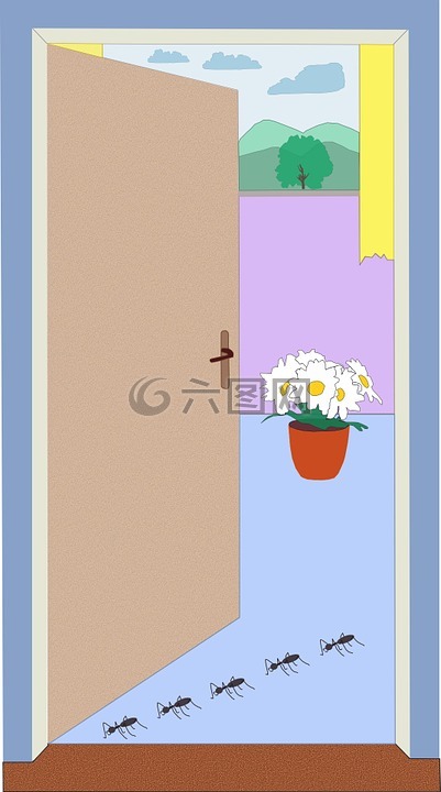 蚂蚁,门,花