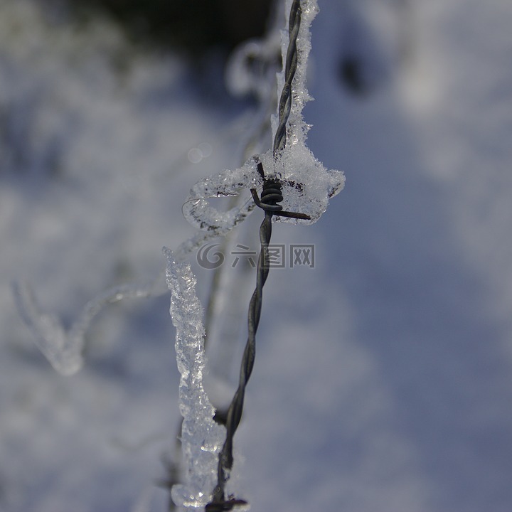 铁丝网复盖的冰,冬天,铁丝网