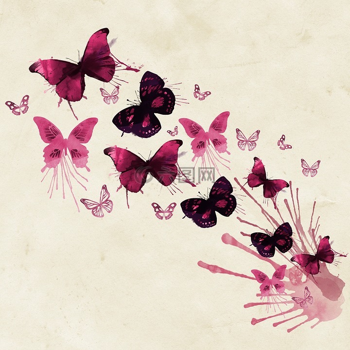 背景,蝴蝶,粉红色