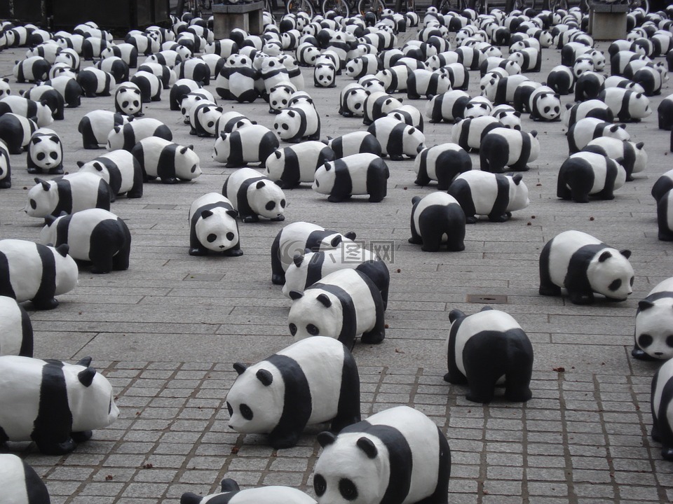 熊猫,微型,展览