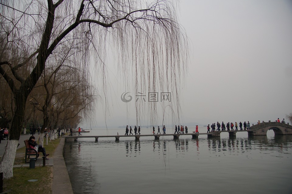 湖景,垂柳,西湖