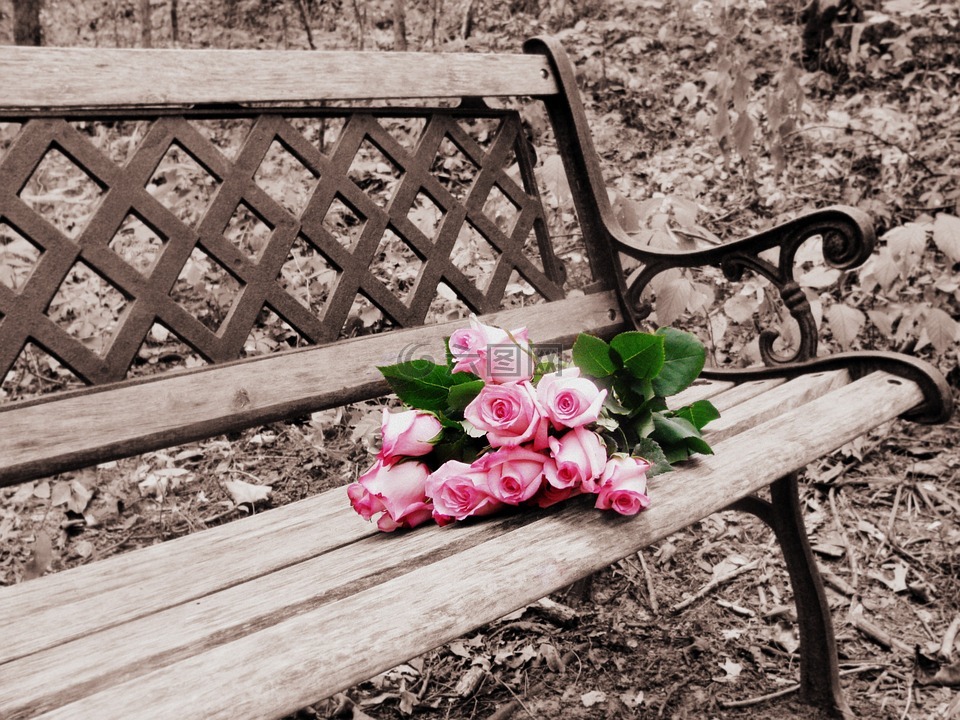 在长凳上的玫瑰,选择性着色,可选颜色