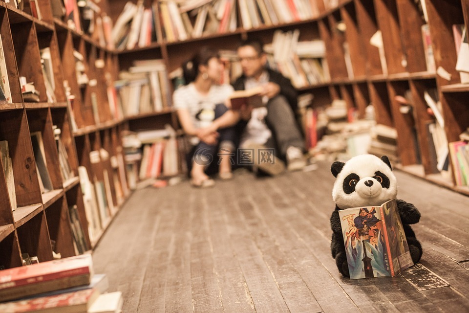 图书馆,情侣,熊猫